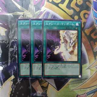 エクシーズ・インポート