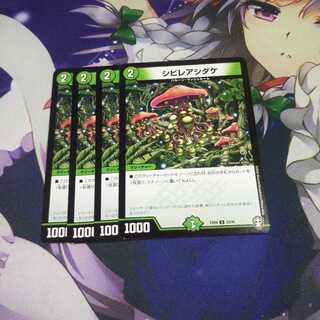 シビレアシダケ 未使用