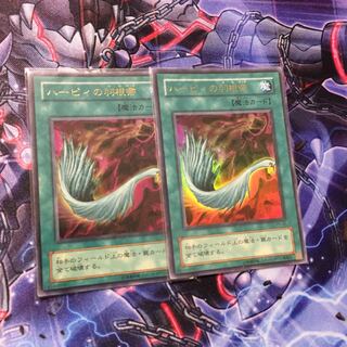 ハーピィの羽根箒 ウルトラ２枚