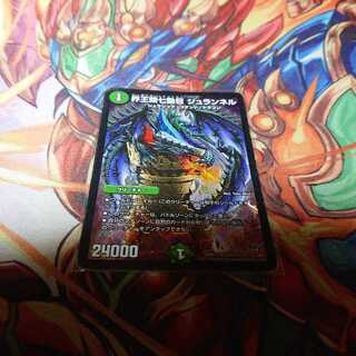 界王類七動目 ジュランネル