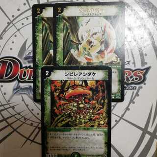 幻緑の双月　シビレアシダケ　プロモ