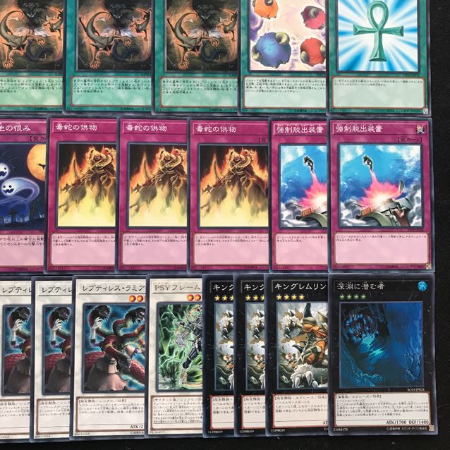 レプティレスデッキ 遊戯王 215 成金ゴブリン 死者蘇生 墓地墓地の恨み