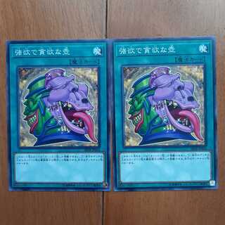 強欲で貪欲な壺 2枚