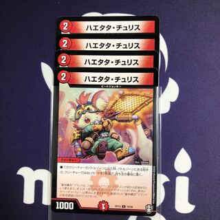 ハエタタ・チュリス　４枚