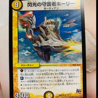 閃光の守護者 ホーリー