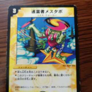 【専用】巡霊者メスタポ　シングル