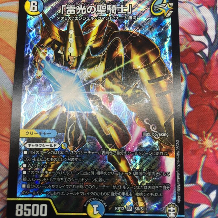 「雷光の聖騎士」