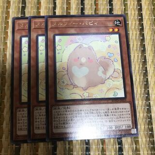 マドレース メルフィー・パピィ R