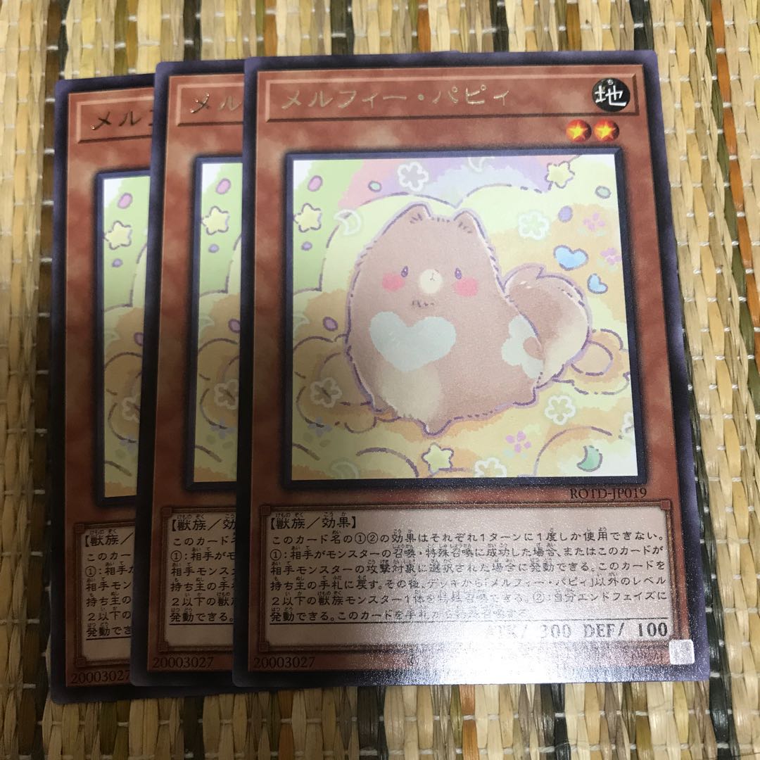 マドレース メルフィー・パピィ R