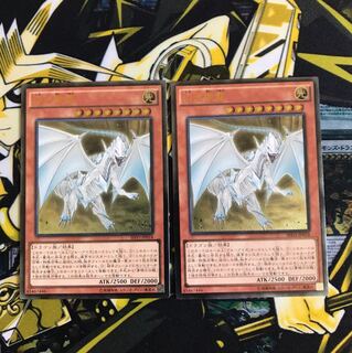 ［即日発送可能】白き霊龍