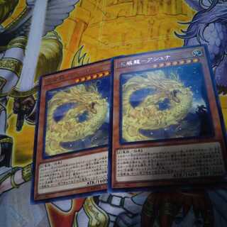 天威龍-アシュナ R