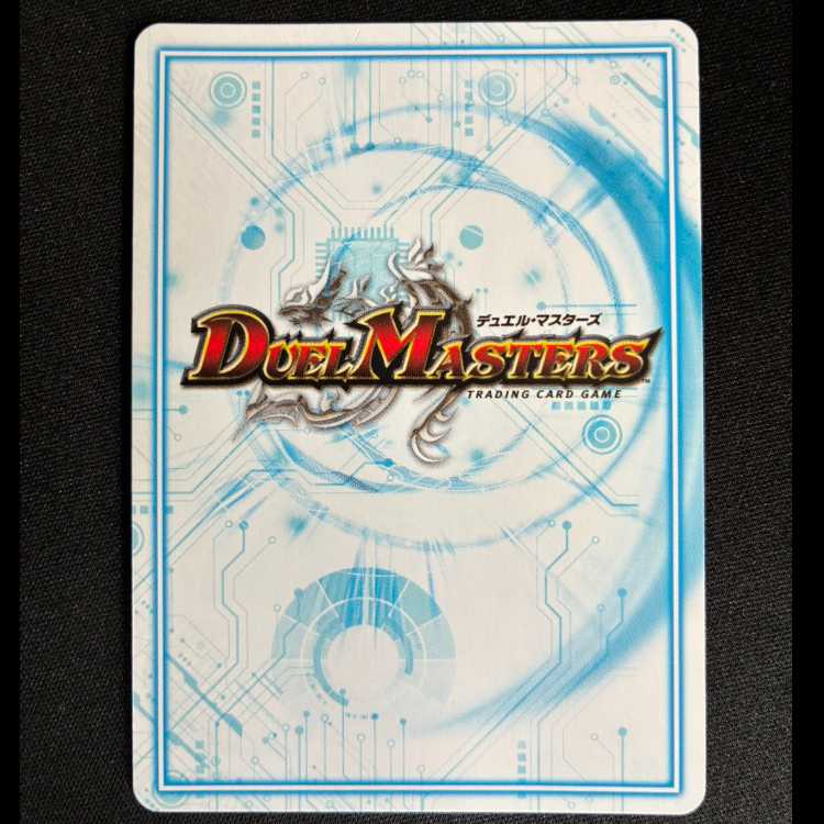 # Metal-Class Datenkwer B SR S1/S10 1枚