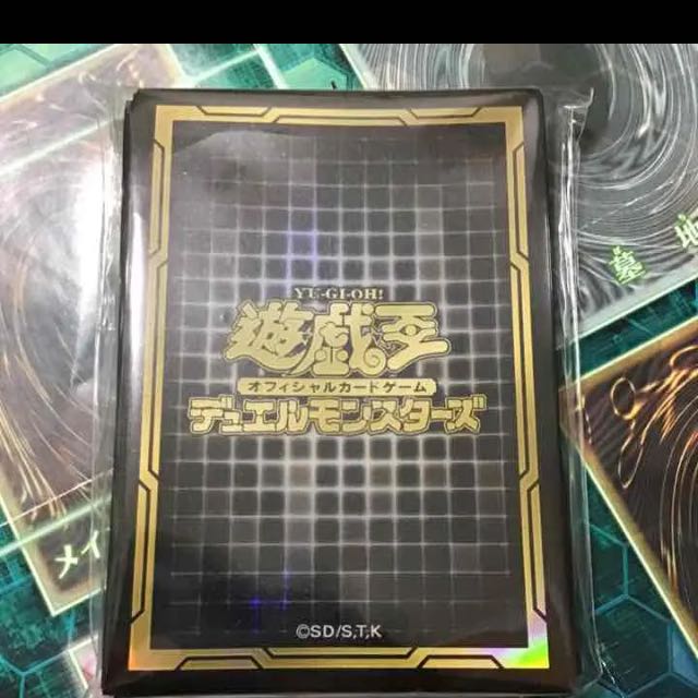 遊戯王 鉄獣戦線 デッキ ガチ構築 十二獣 トライブリゲート未使用スリーブ付き