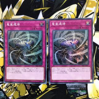 【即日発送可能】竜嵐還帰