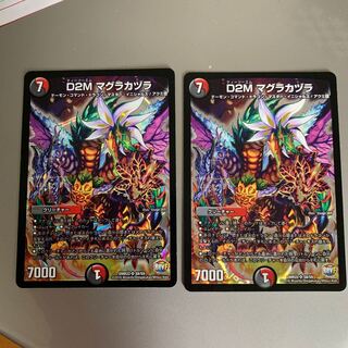 マグラカズラ 2枚