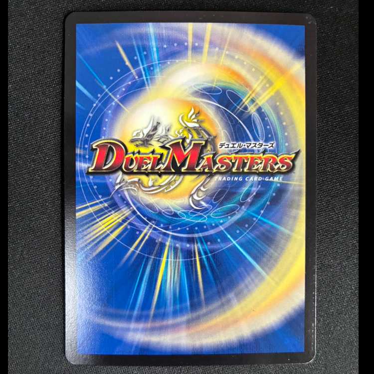 ＃　革命類侵略目 パラスキング SR S8/S10 1枚