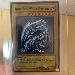 青眼の白龍　英語版