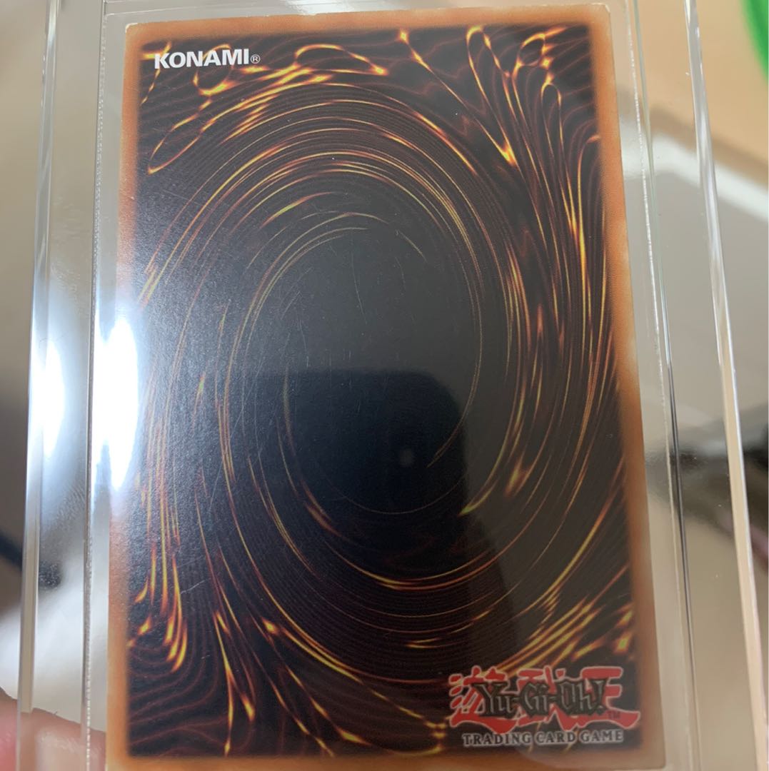 青眼の白龍 英語版