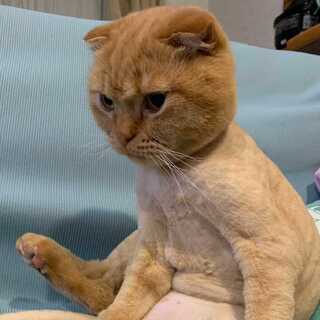 ベイブレンラ/スーパーエターナルスパーク