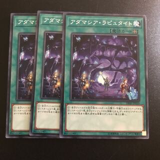 アダマシア・ラピュタイト N