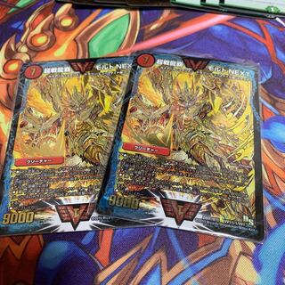 モルトnext 金シク ２枚