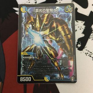 「雷光の聖騎士」