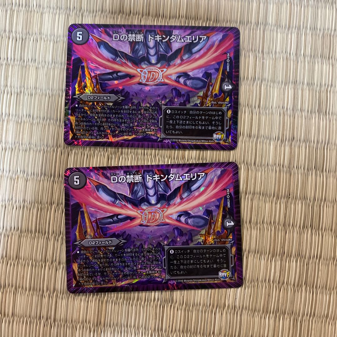 Dの禁断 ドキンダムエリア VR