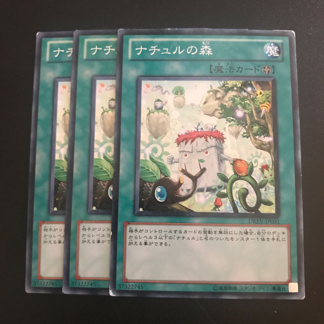 ナチュルの森 N