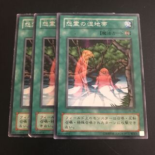 怨霊の湿地帯 N