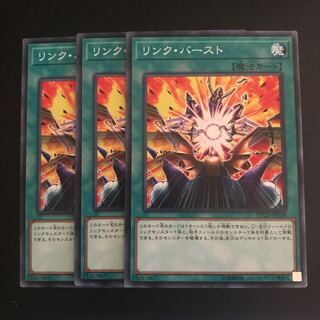 リンク・バースト N