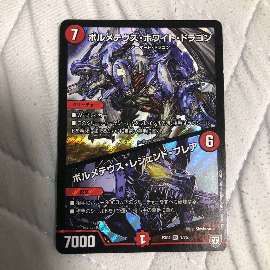 傷ありボルホワ