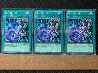 【ぽぽたん】遊戯王 6193 黒・魔・導 3枚 ノーマル DT