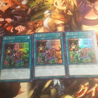 隣の芝刈り SR 3枚