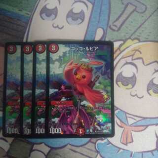 コッコ・ルピア プロモ