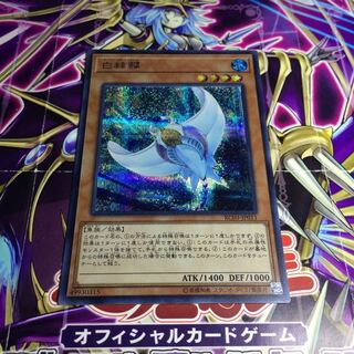 ホワイト スティングレイのカード情報 出品一覧 1ページ目 Magi マギ トレカ ゲーム専用フリマアプリ