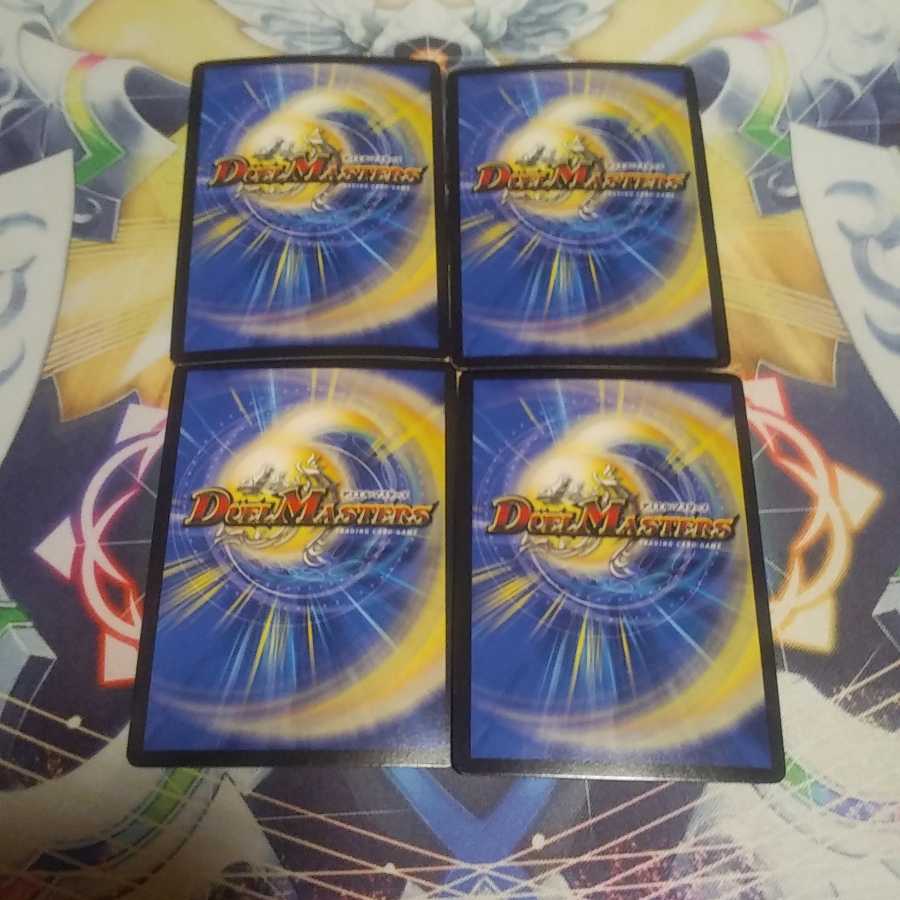 煌龍 サッヴァーク四枚