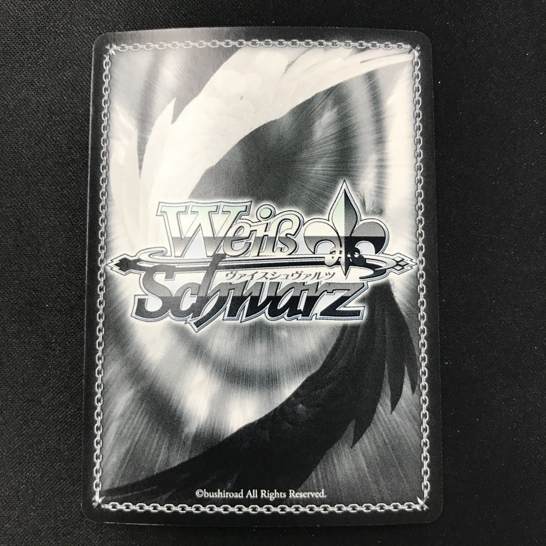 アウロラの守護天使 フェル