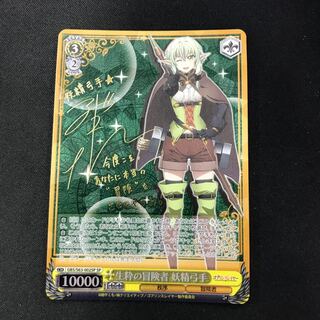 生粋の冒険者　妖精弓手