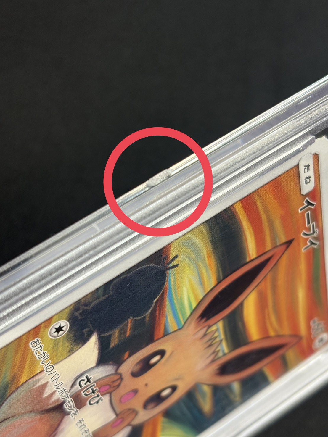 [PSA10 Graded] Eevee (Munch) [P] {287/SM-P} 1枚