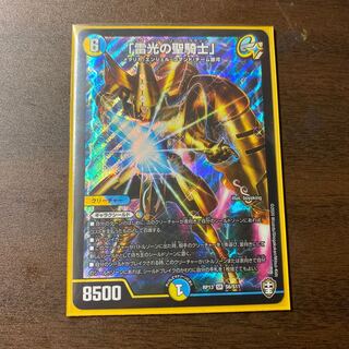 「雷光の聖騎士」