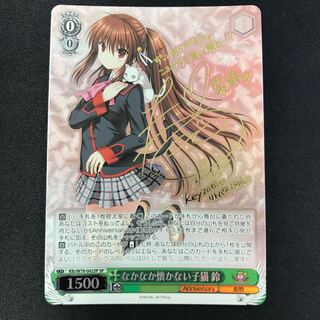 なかなかな懐かない子猫 鈴