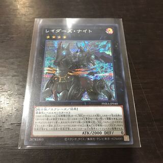 レイダーズ・ナイト SE