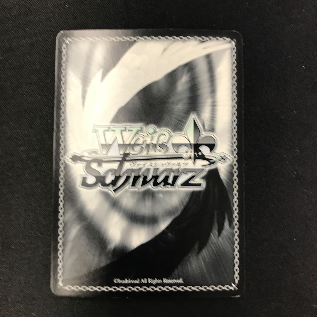 思いを継ぐもの ステフ