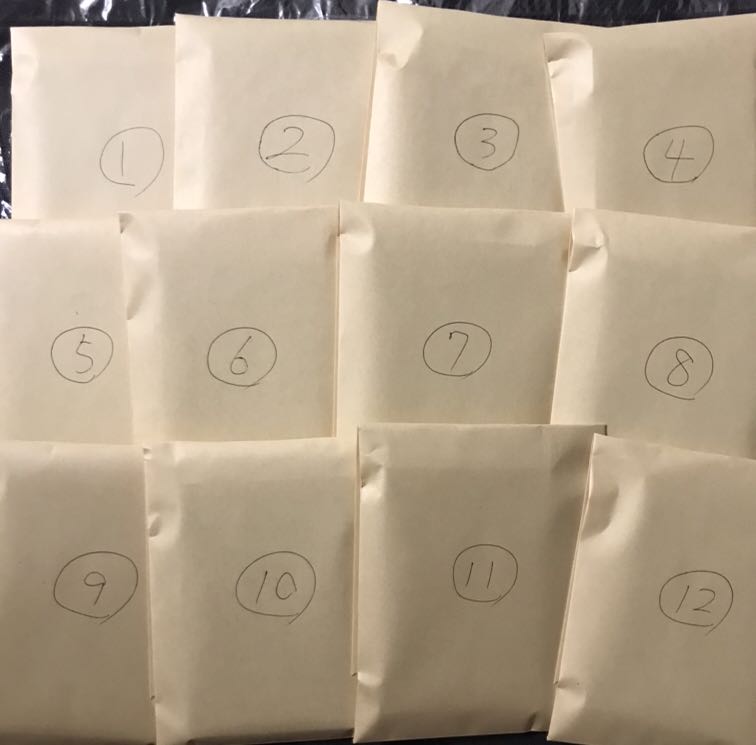 遊戯王 6000円オリパ ブラック・マジシャンガール ホロ ④ 1枚