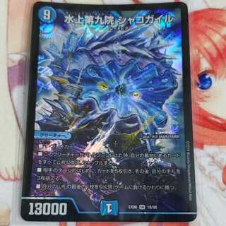 水上第九院 シャコガイル