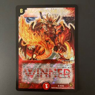 ボルシャック大和　画像確認