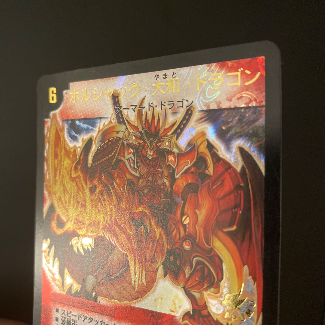 ボルシャック大和 画像確認