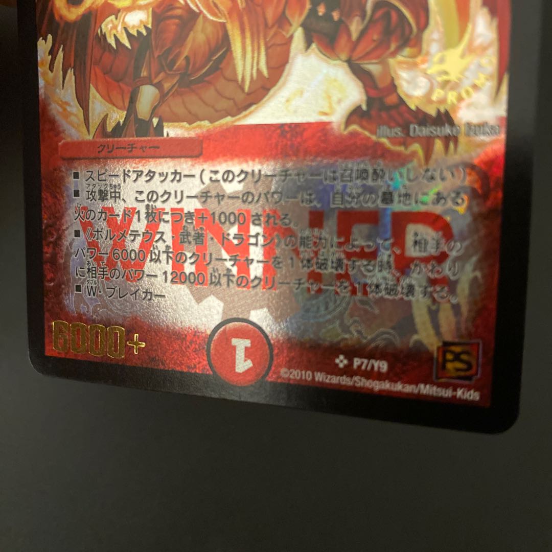 ボルシャック大和 画像確認