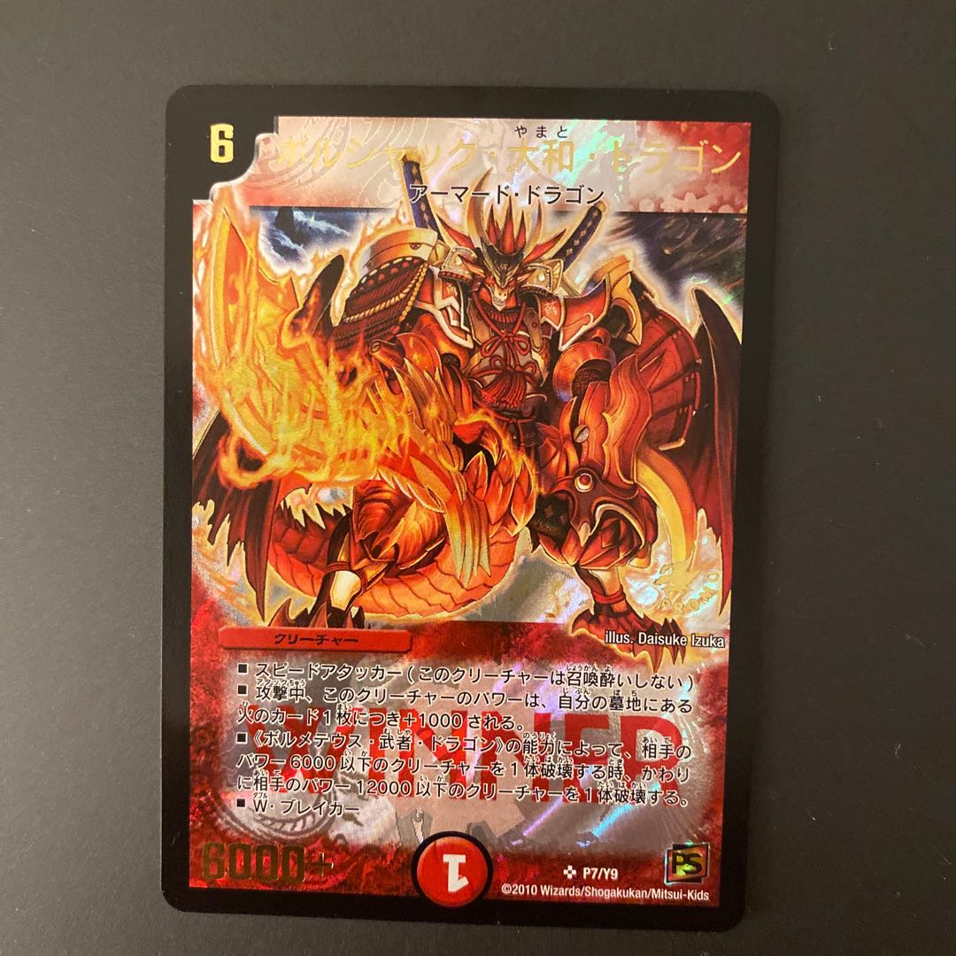 ボルシャック大和 画像確認