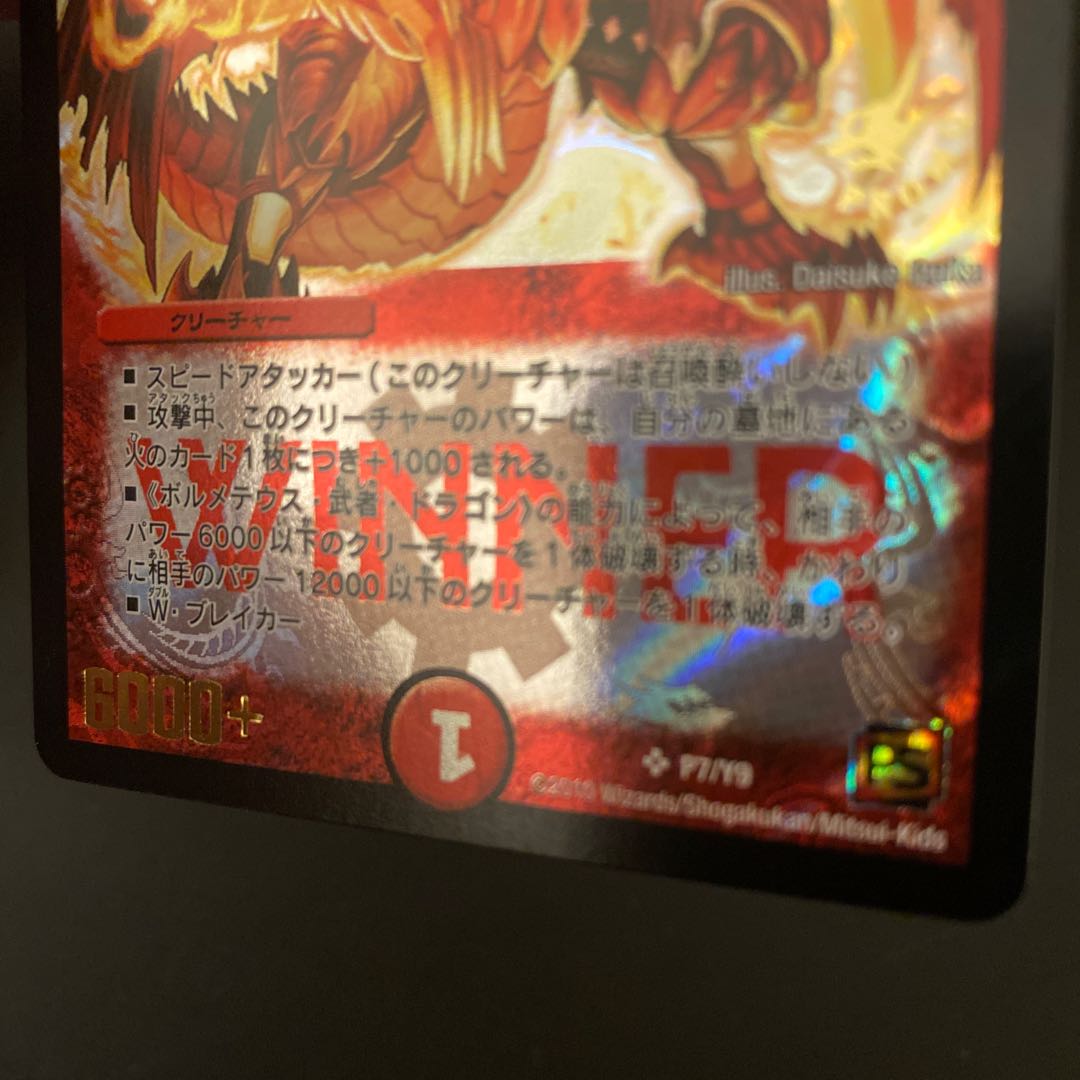 ボルシャック大和 画像確認